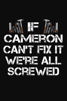 Book cover for If Cameron Can't Fix It We're All Screwed