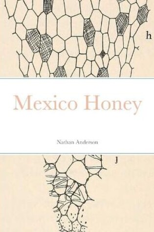 Cover of Mexico Honey