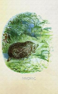 Book cover for Hedgehog