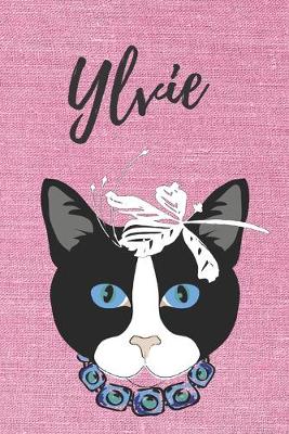 Book cover for Notizbuch Katzen Ylvie