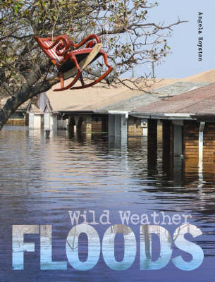 Book cover for Floods