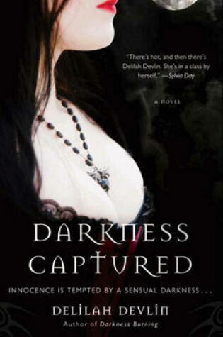 Cover of Darkness Captured