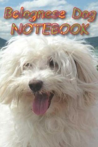 Cover of Bolognese Dog NOTEBOOK