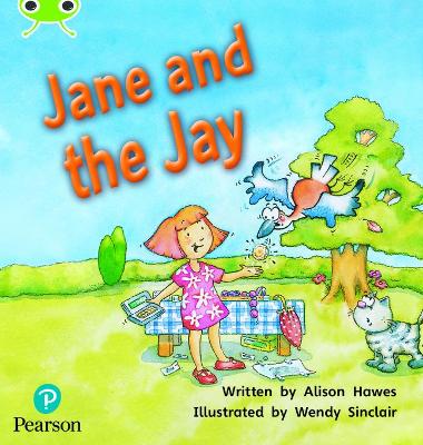Book cover for Bug Club Phonics - Phase 5 Unit 14: Jane and the Jay