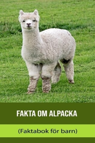 Cover of Fakta om Alpacka (Faktabok för barn)