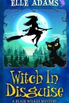 Book cover for Witch in Disguise