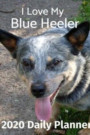 Cover of I Love My Blue Heeler