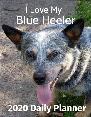 Book cover for I Love My Blue Heeler