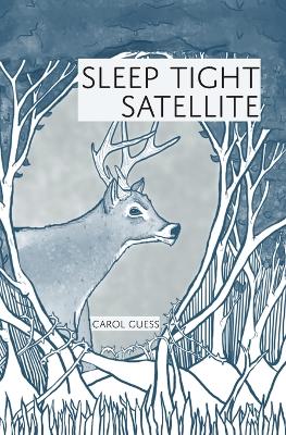 Book cover for Sleep Tight Satellite