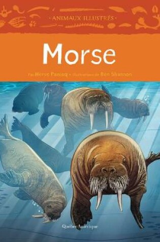 Cover of Morse