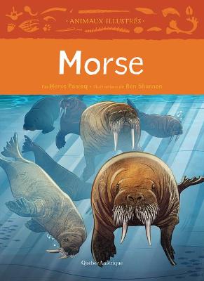 Book cover for Morse