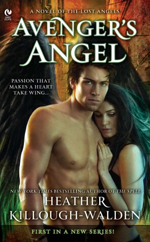 Book cover for Avenger's Angel