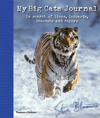 Book cover for My Big Cats Journal