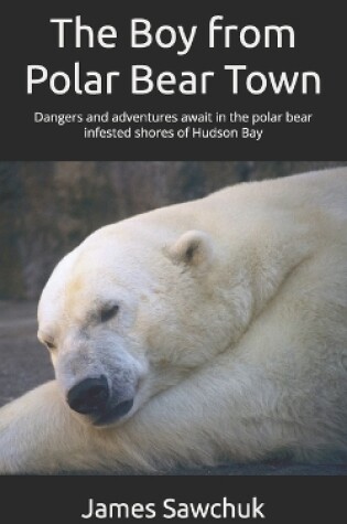 Cover of The Boy from Polar Bear Town