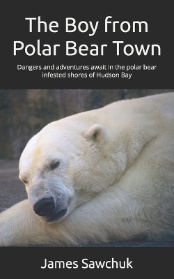 Book cover for The Boy from Polar Bear Town