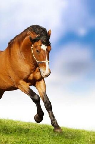 Cover of A Beautiful Brown Stallion Galloping, for the Love of Horses