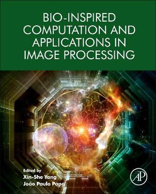 Book cover for Bio-Inspired Computation and Applications in Image Processing