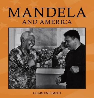 Book cover for Mandela and America