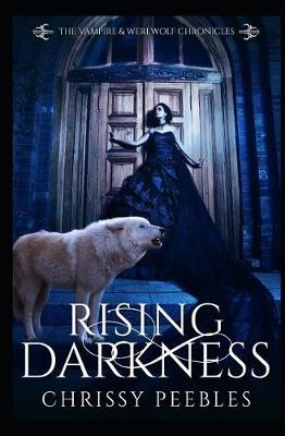 Book cover for Rising Darkness