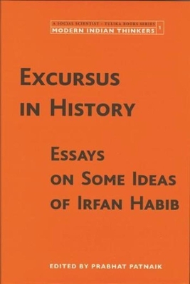 Book cover for Excursus in History - Essays on Some Ideas of Irfan Habib