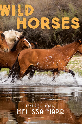 Cover of Wild Horses