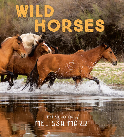 Book cover for Wild Horses