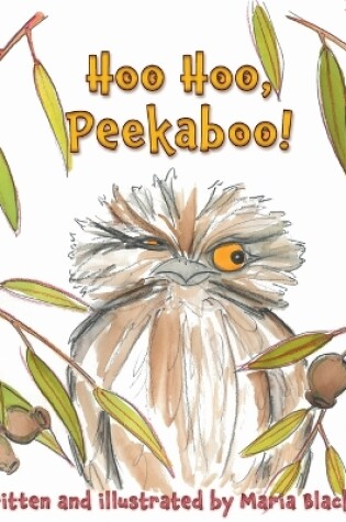 Cover of Hoo Hoo, Peekaboo