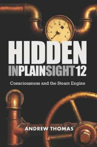 Cover of Hidden In Plain Sight 12