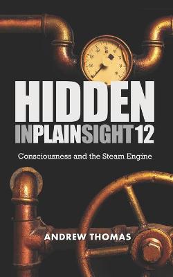 Book cover for Hidden In Plain Sight 12