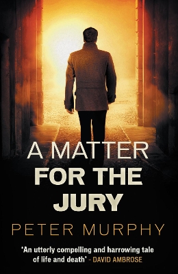 Book cover for A  Matter for the Jury