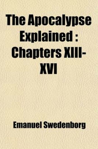 Cover of The Apocalypse Explained (Volume 5); Chapters XIII-XVI