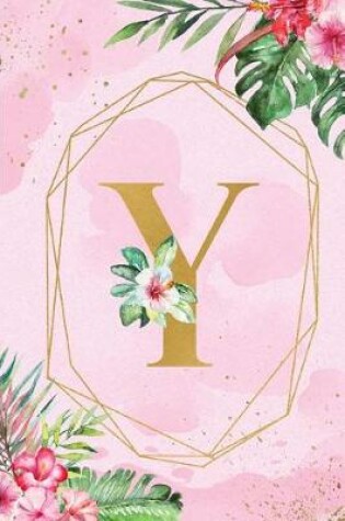 Cover of Y