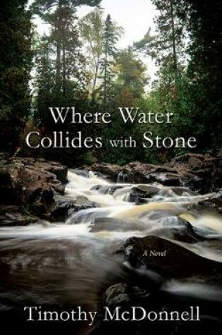 Cover of Where Water Collides with Stone