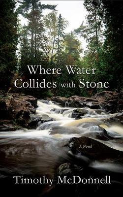 Book cover for Where Water Collides with Stone