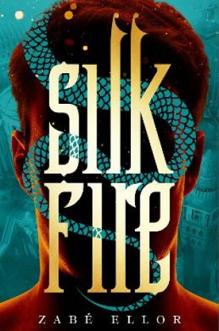 Cover of Silk Fire