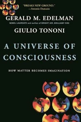 Cover of A Universe Of Consciousness How Matter Becomes Imagination