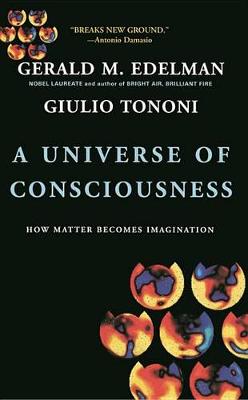 Book cover for A Universe Of Consciousness How Matter Becomes Imagination