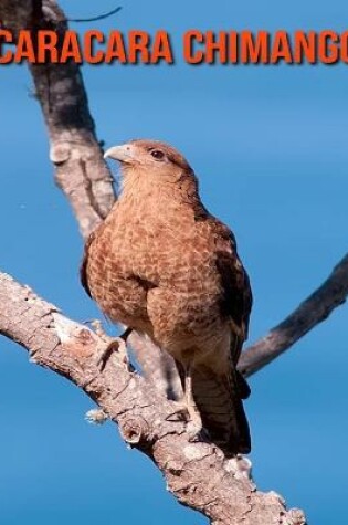 Cover of Caracara Chimango