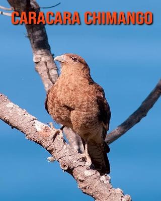 Book cover for Caracara Chimango