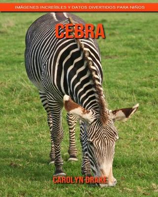 Book cover for Cebra