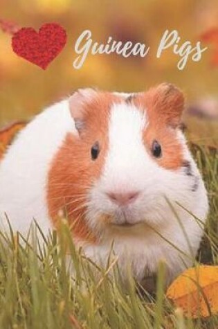 Cover of Guinea Pig Journal