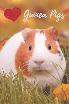 Book cover for Guinea Pig Journal