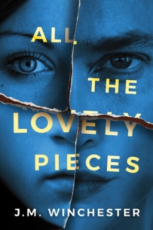 Cover of All the Lovely Pieces