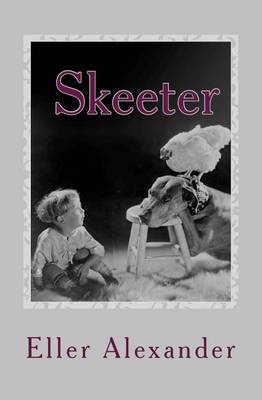 Book cover for Skeeter