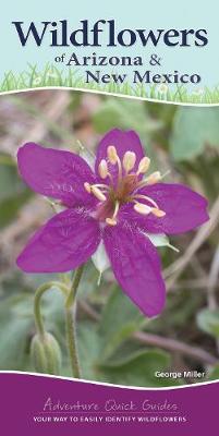 Book cover for Wildflowers of Arizona & New Mexico