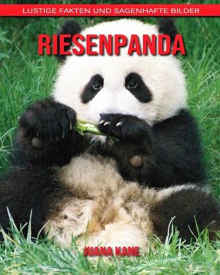 Book cover for Riesenpanda