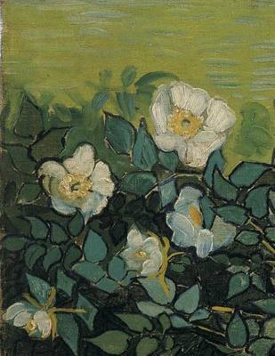 Book cover for Wild Roses, Vincent Van Gogh. Graph Paper Journal