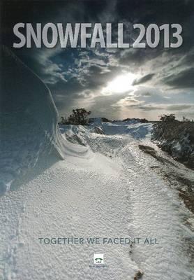 Book cover for Snowfall 2013