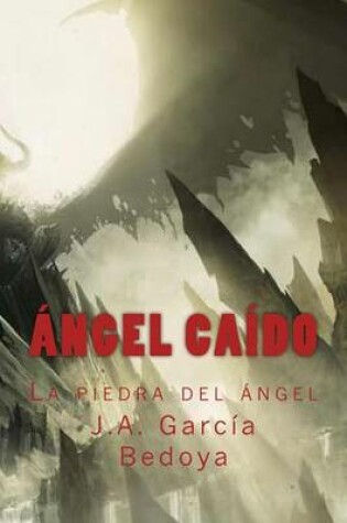 Cover of Angel Caido