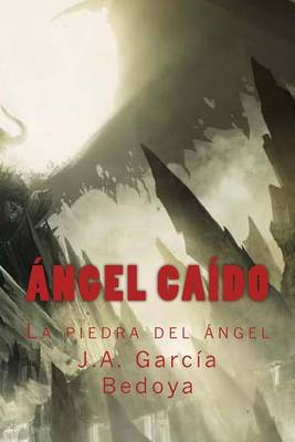 Book cover for Angel Caido